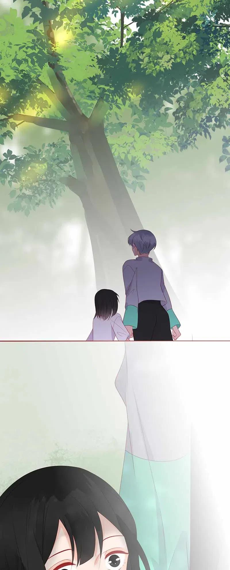 217 支持17