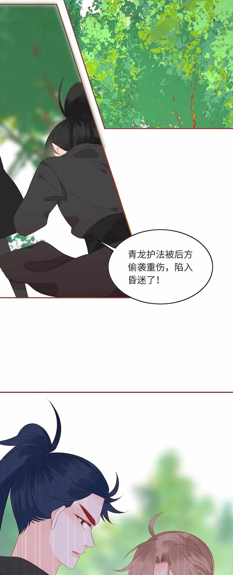 206 暗袭4