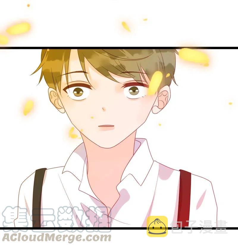 244 护崽36