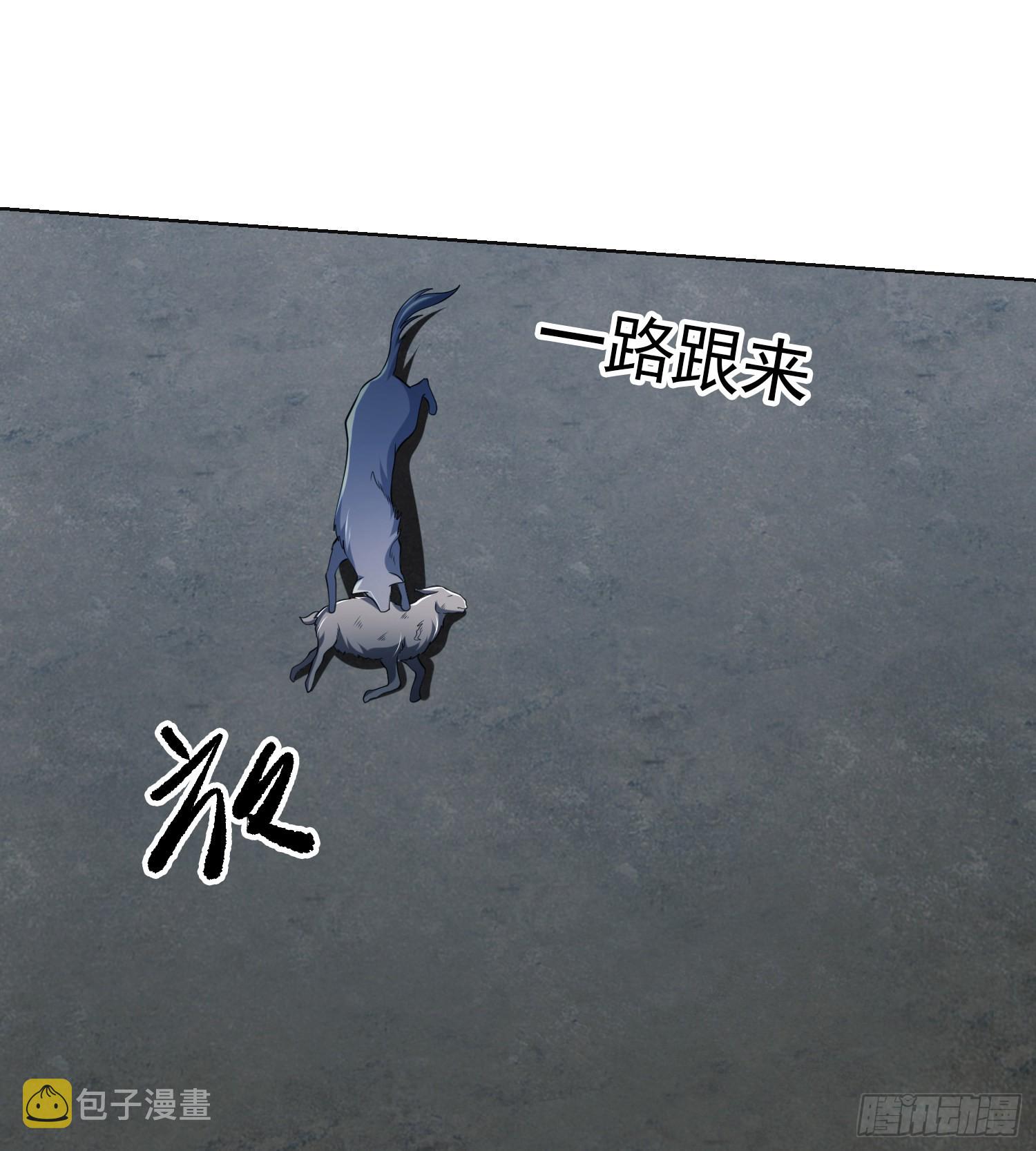 99 昆山狼王41