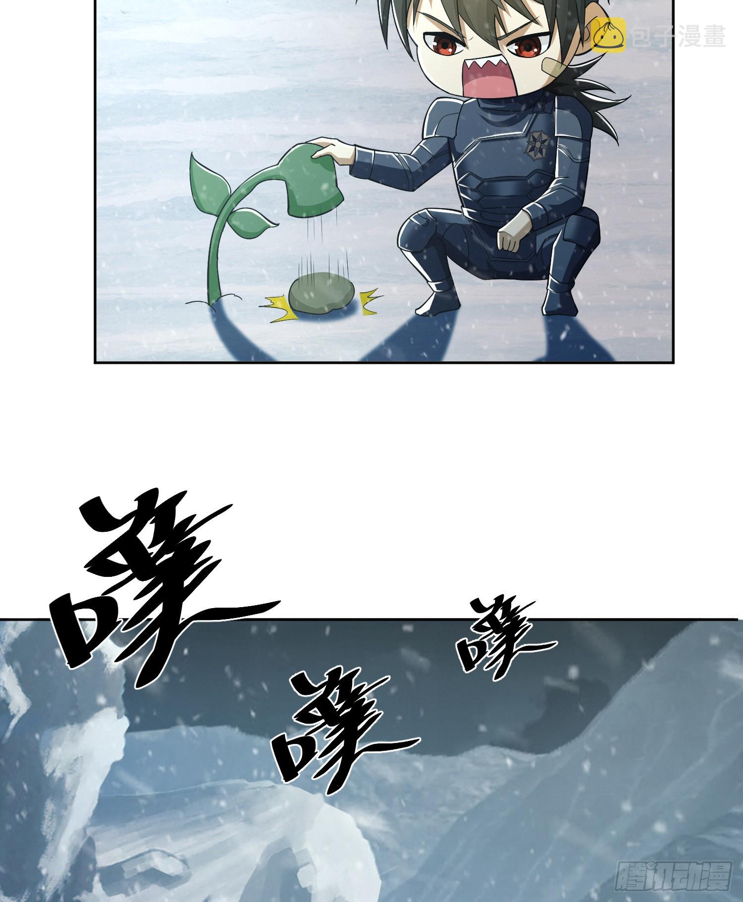119 疯狂的植物46