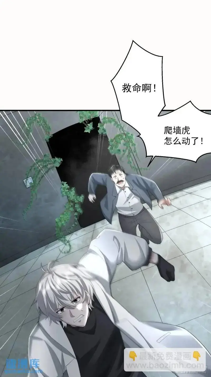 318 调查爬墙虎41