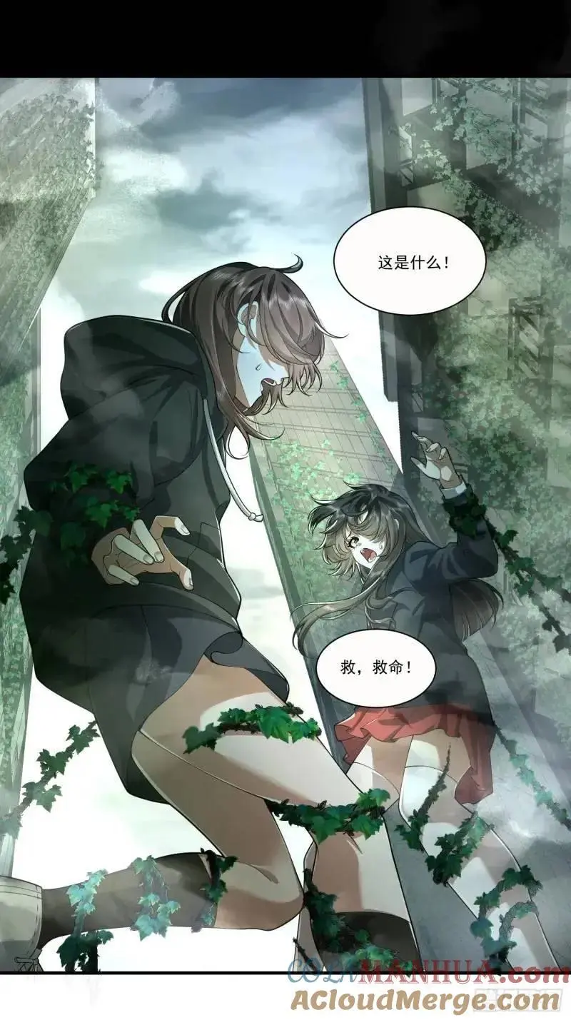 318 调查爬墙虎51