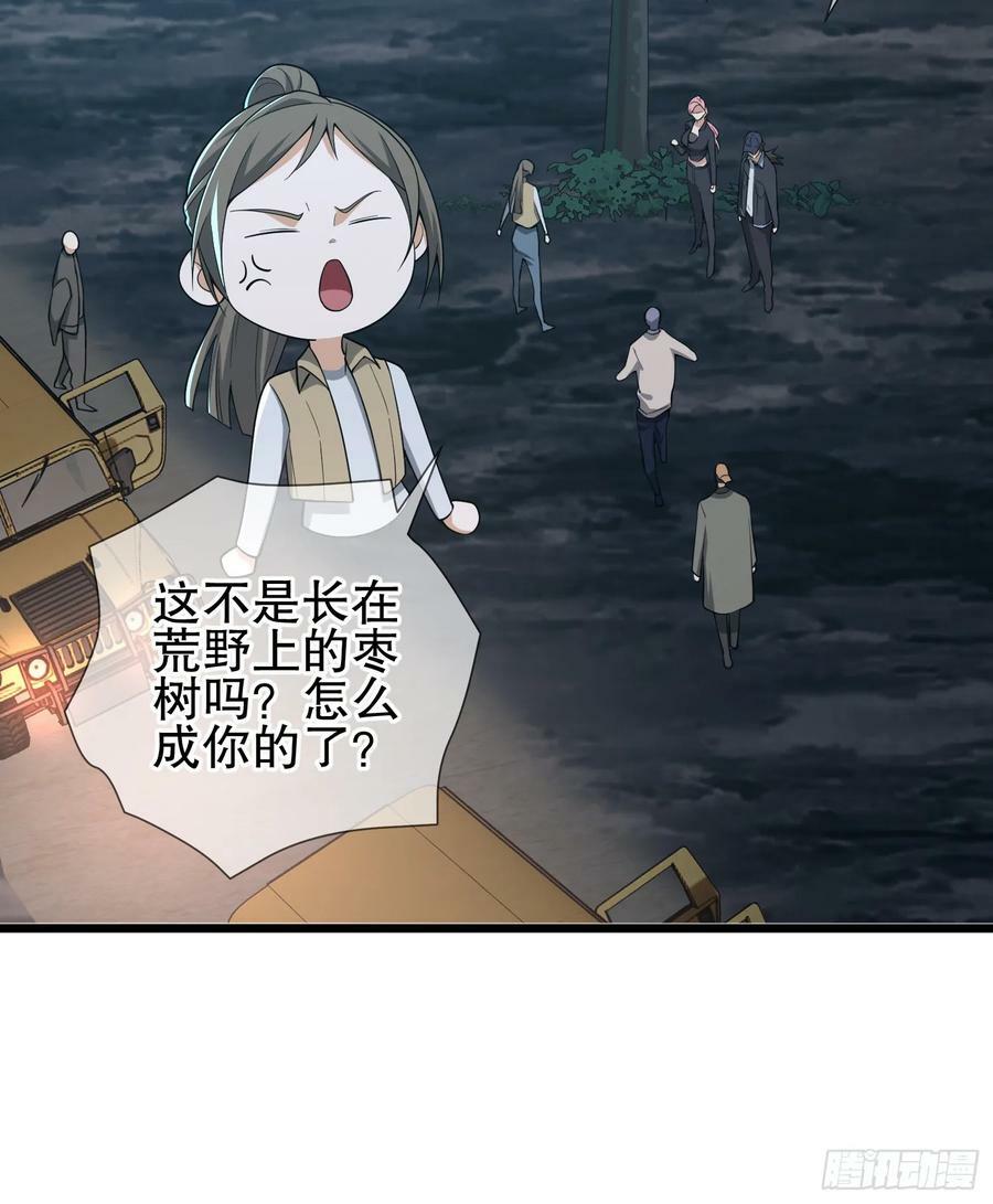 271 植物的能量19