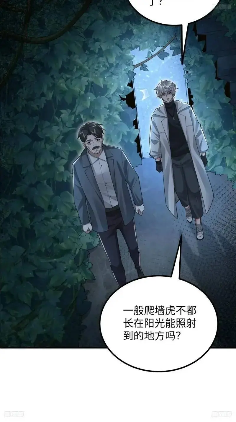 318 调查爬墙虎11