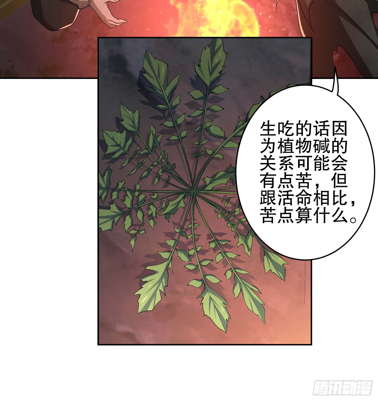 53 野菜41