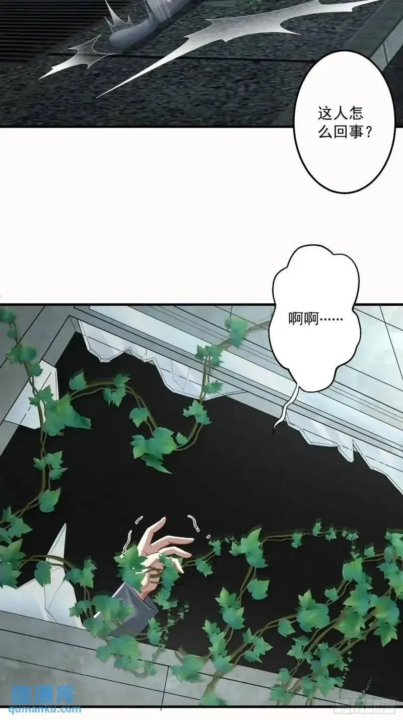 318 调查爬墙虎47