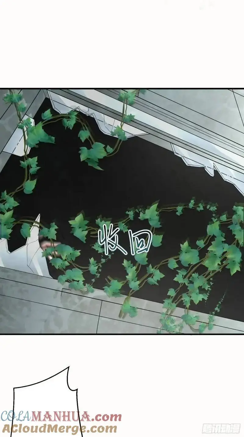 318 调查爬墙虎48