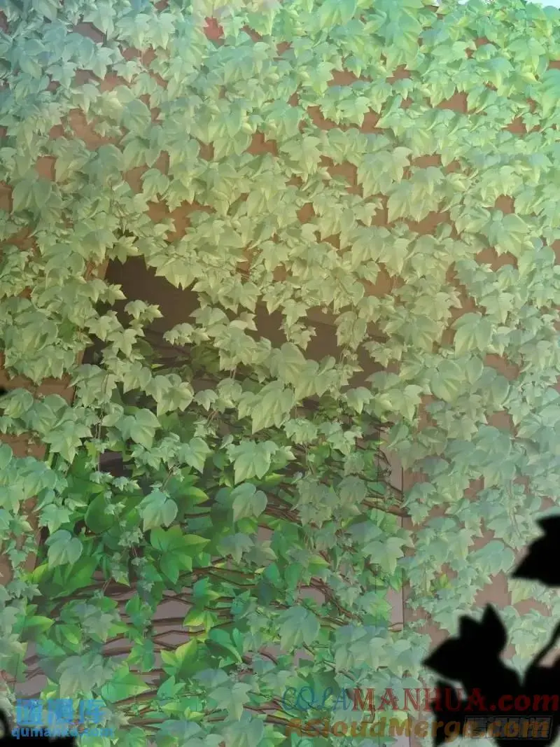 319 吃人爬山虎48