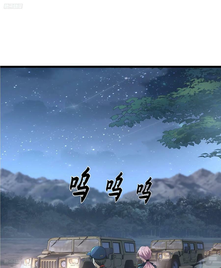 271 植物的能量2