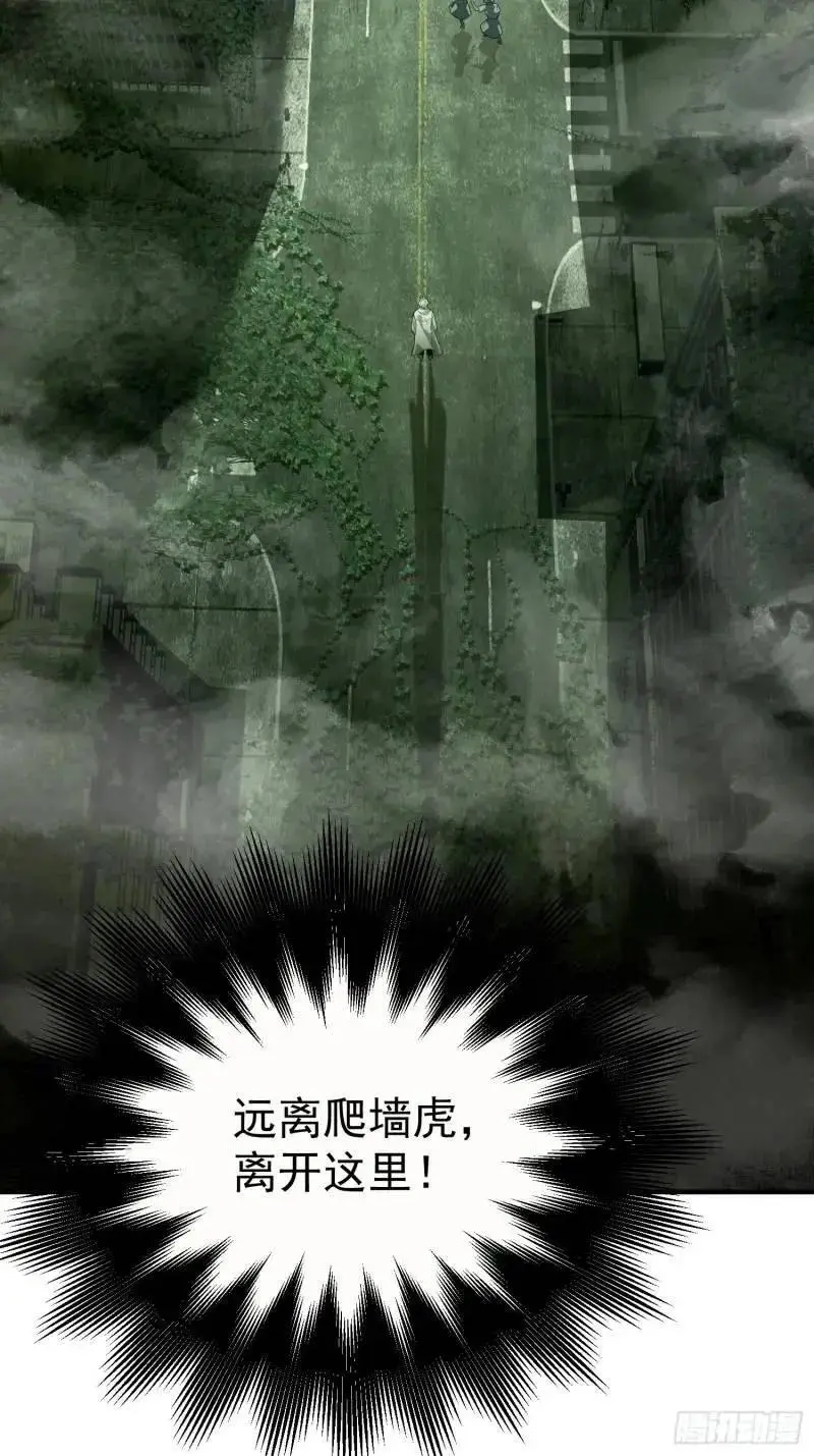 318 调查爬墙虎55