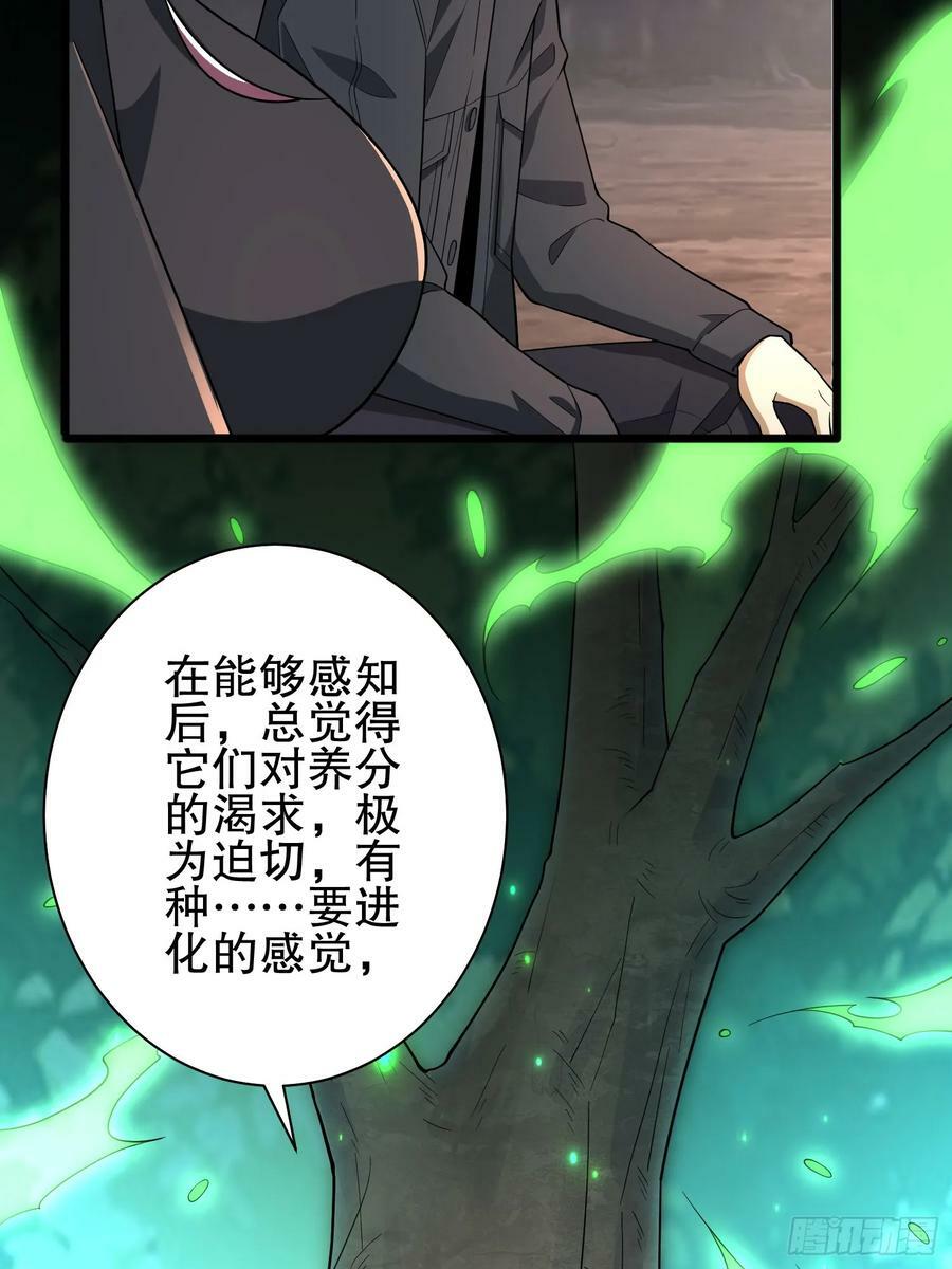 271 植物的能量50