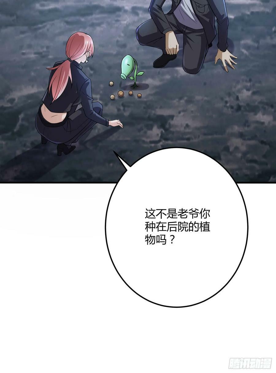 270 周迎雪能力进阶55