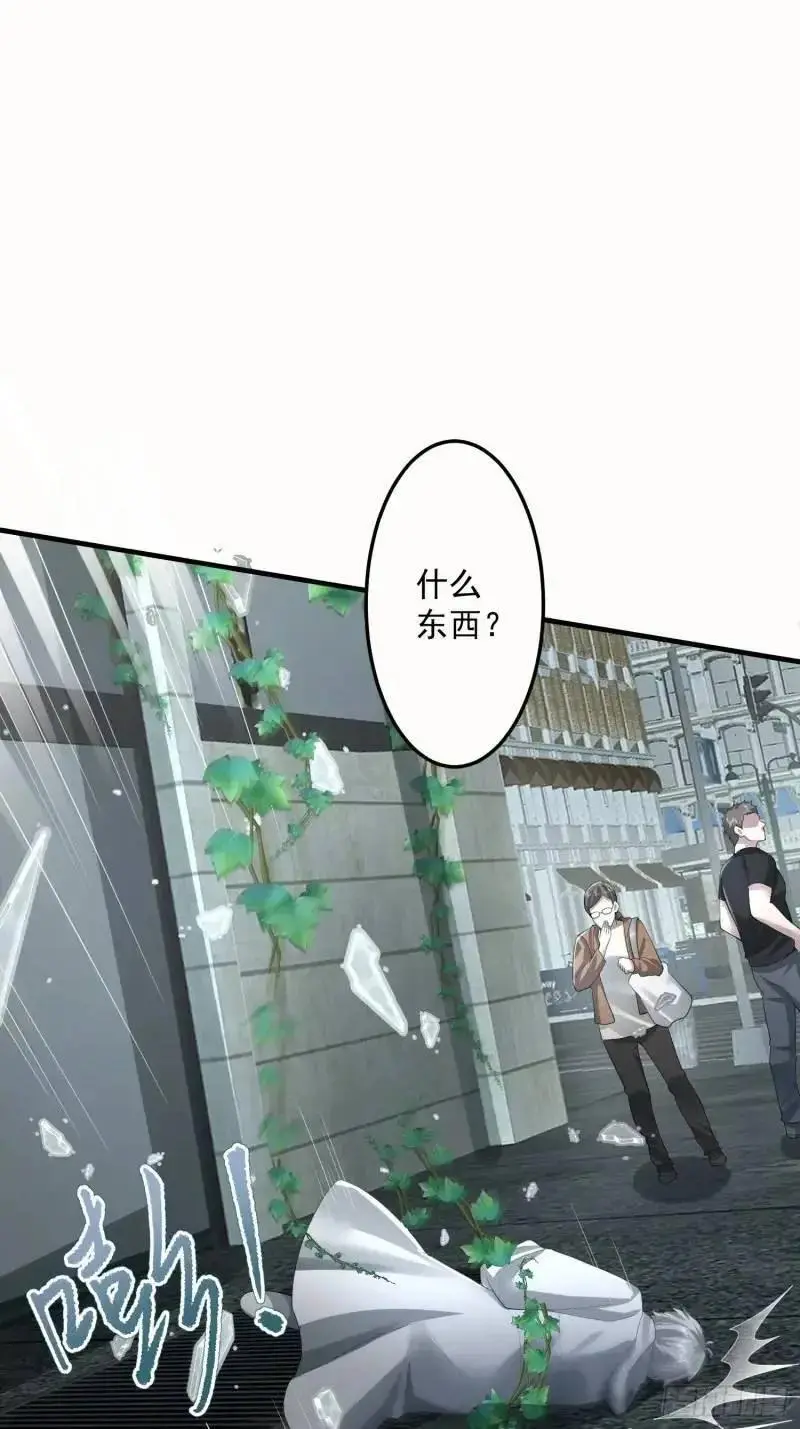 318 调查爬墙虎46