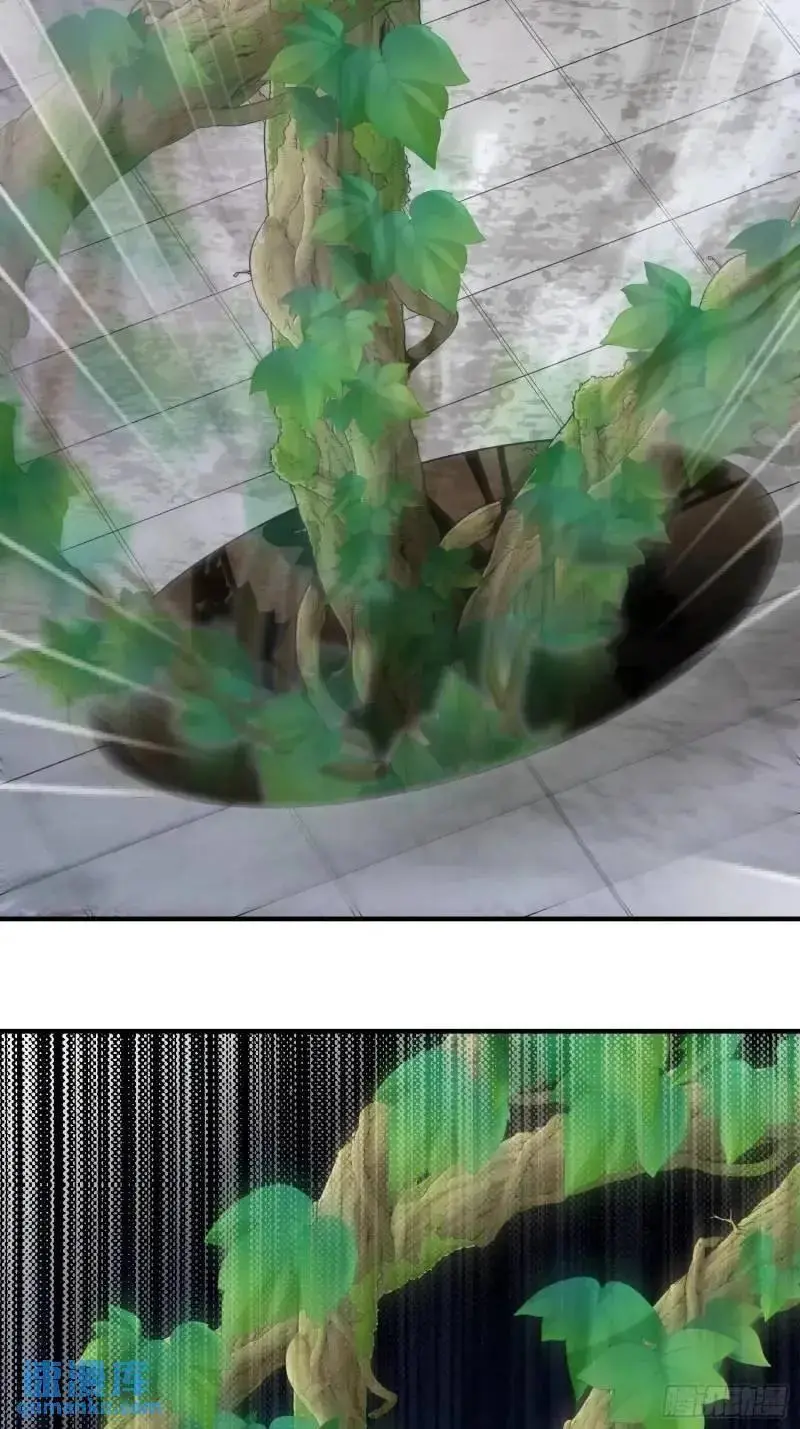 319 吃人爬山虎56