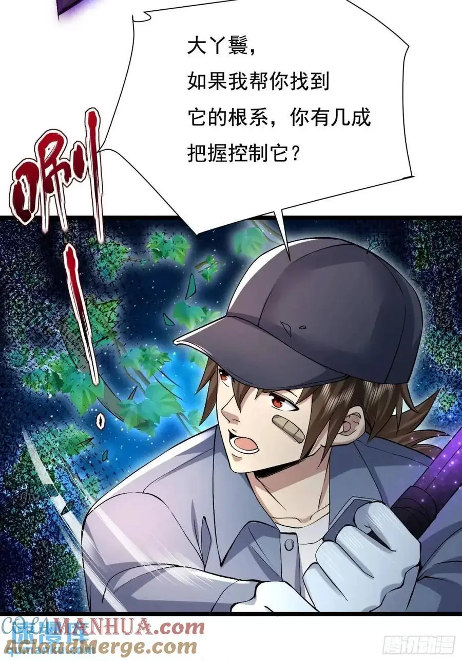 325 红板行动60