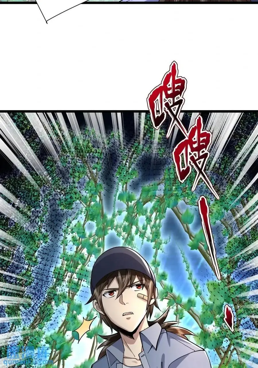 325 红板行动56