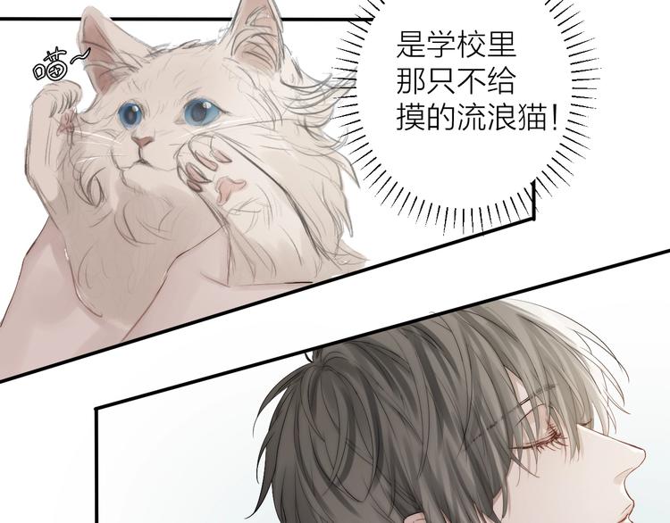 第3话 我接受了48