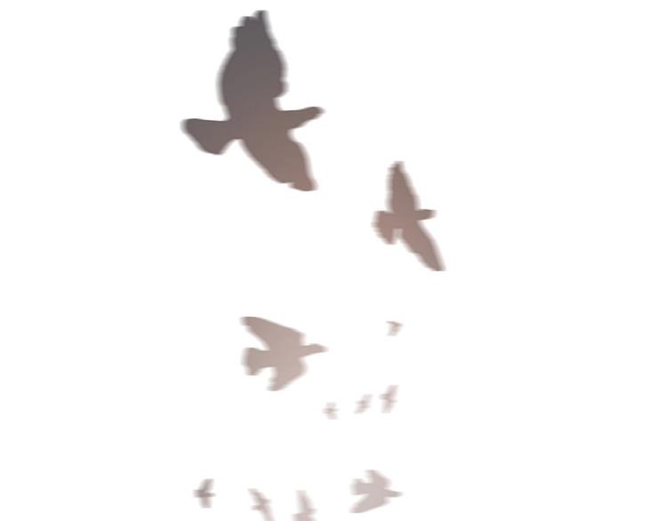 番外：枷锁47