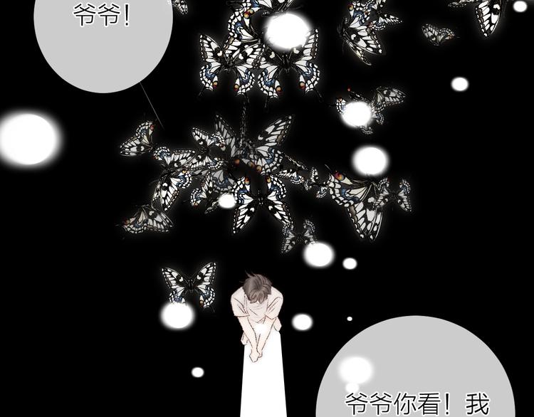 番外二 蝴蝶梦7