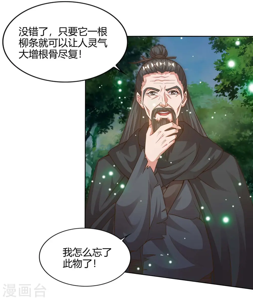 第165话 神柳18