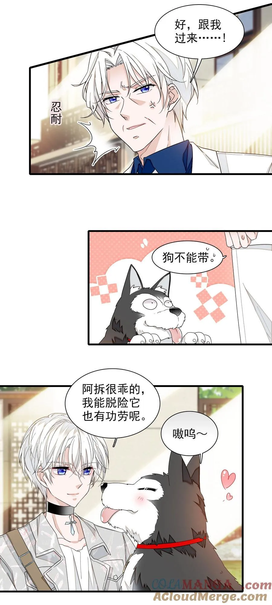 196 我们都是替身16