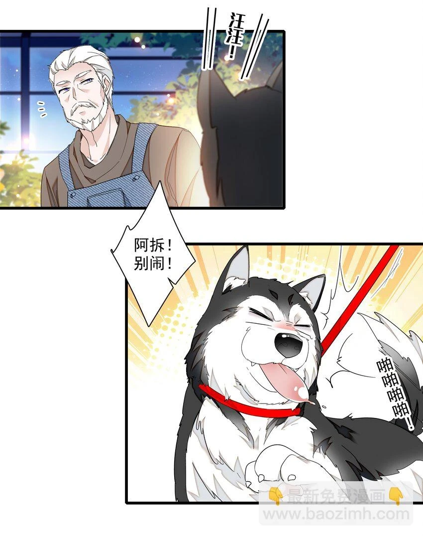129 螳螂捕蝉黄雀在后22