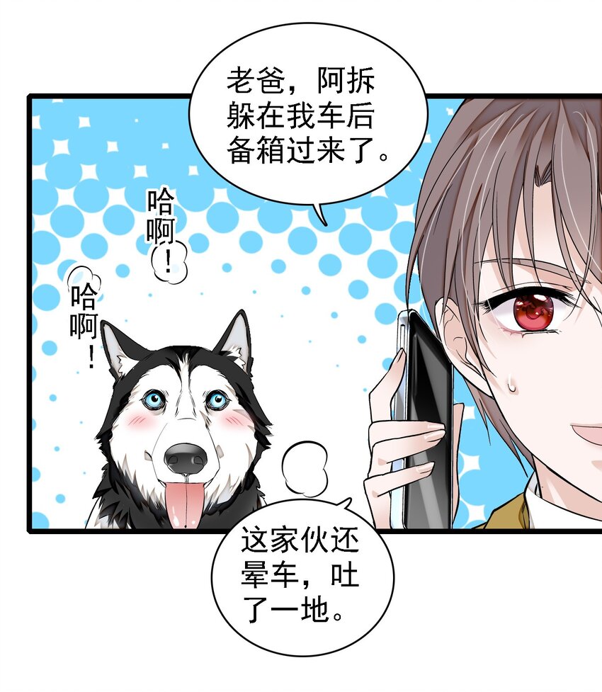 062 我不是人，你是真的狗！11