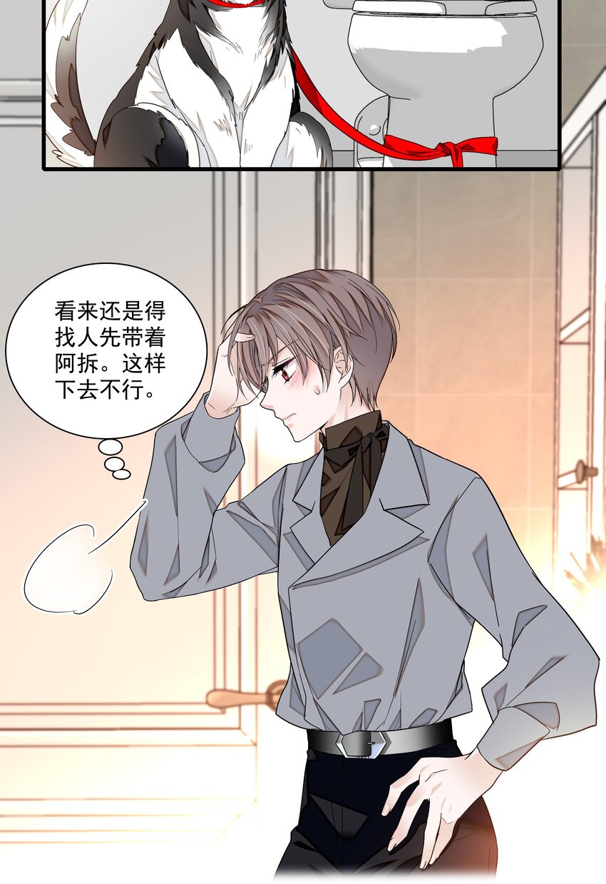 106 阿拆是条好狗20