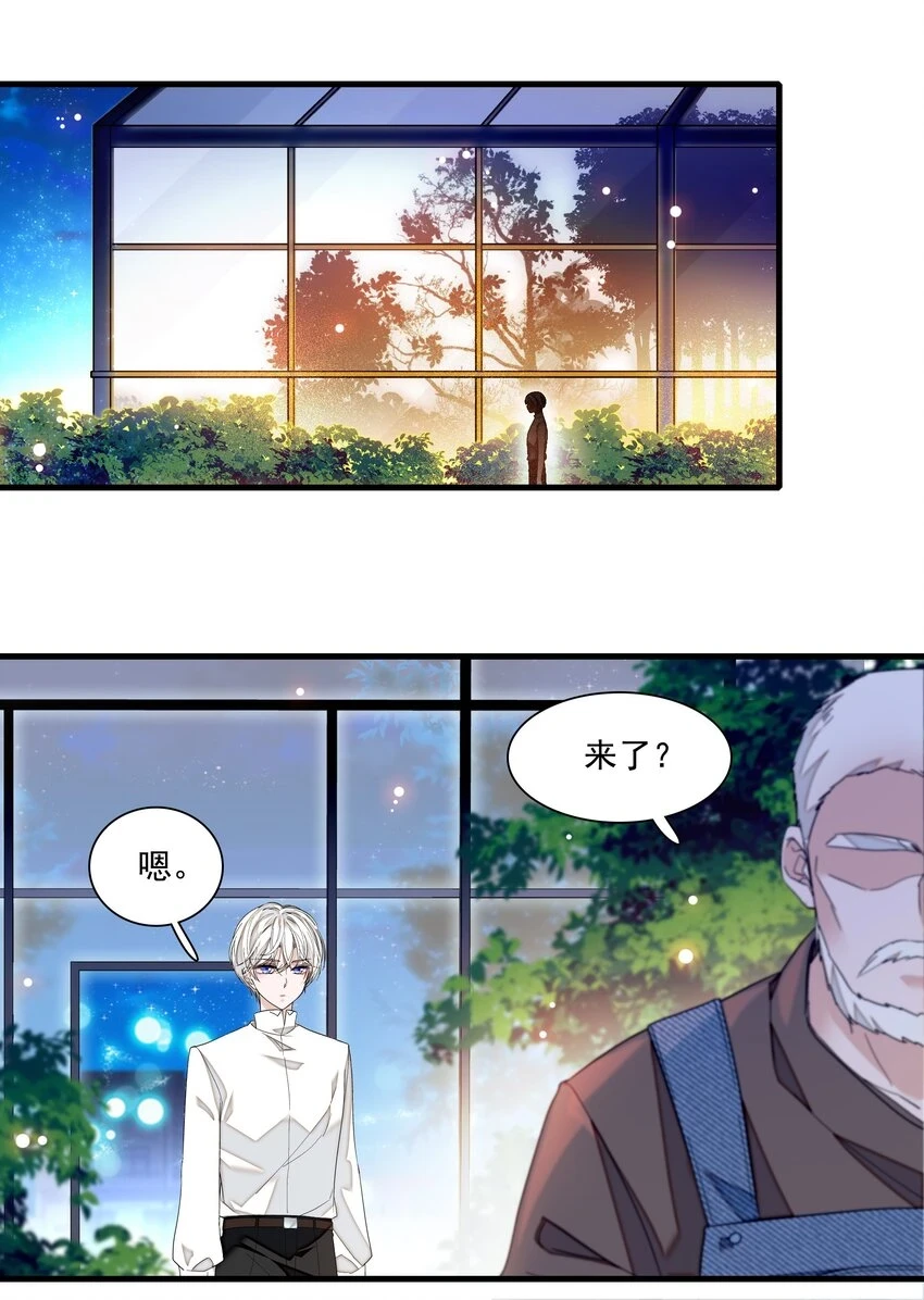 129 螳螂捕蝉黄雀在后20