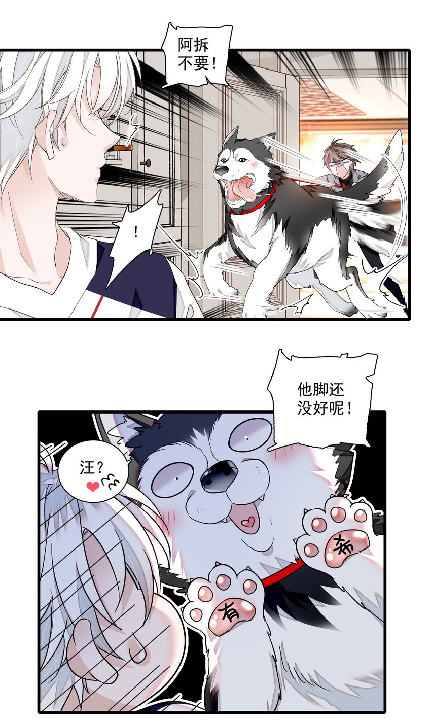 106 阿拆是条好狗10