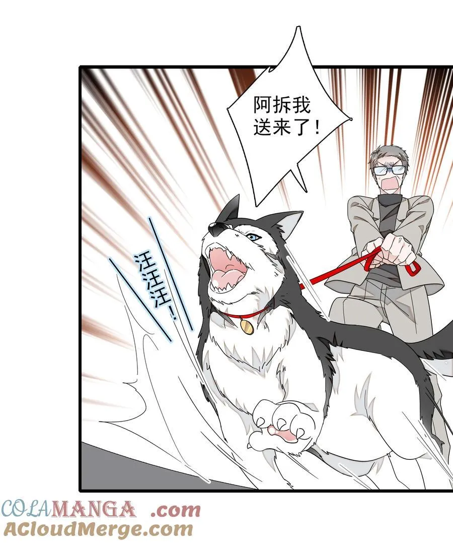 194 是你吗？8