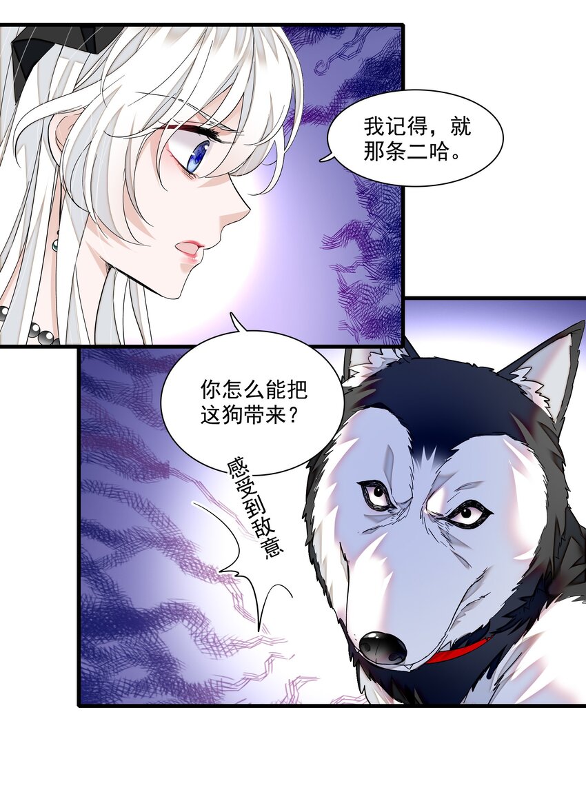 106 阿拆是条好狗5