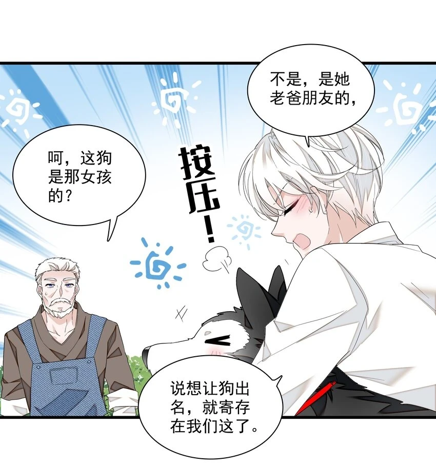 129 螳螂捕蝉黄雀在后23