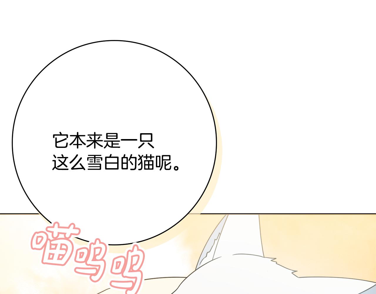 第34话窃喜143