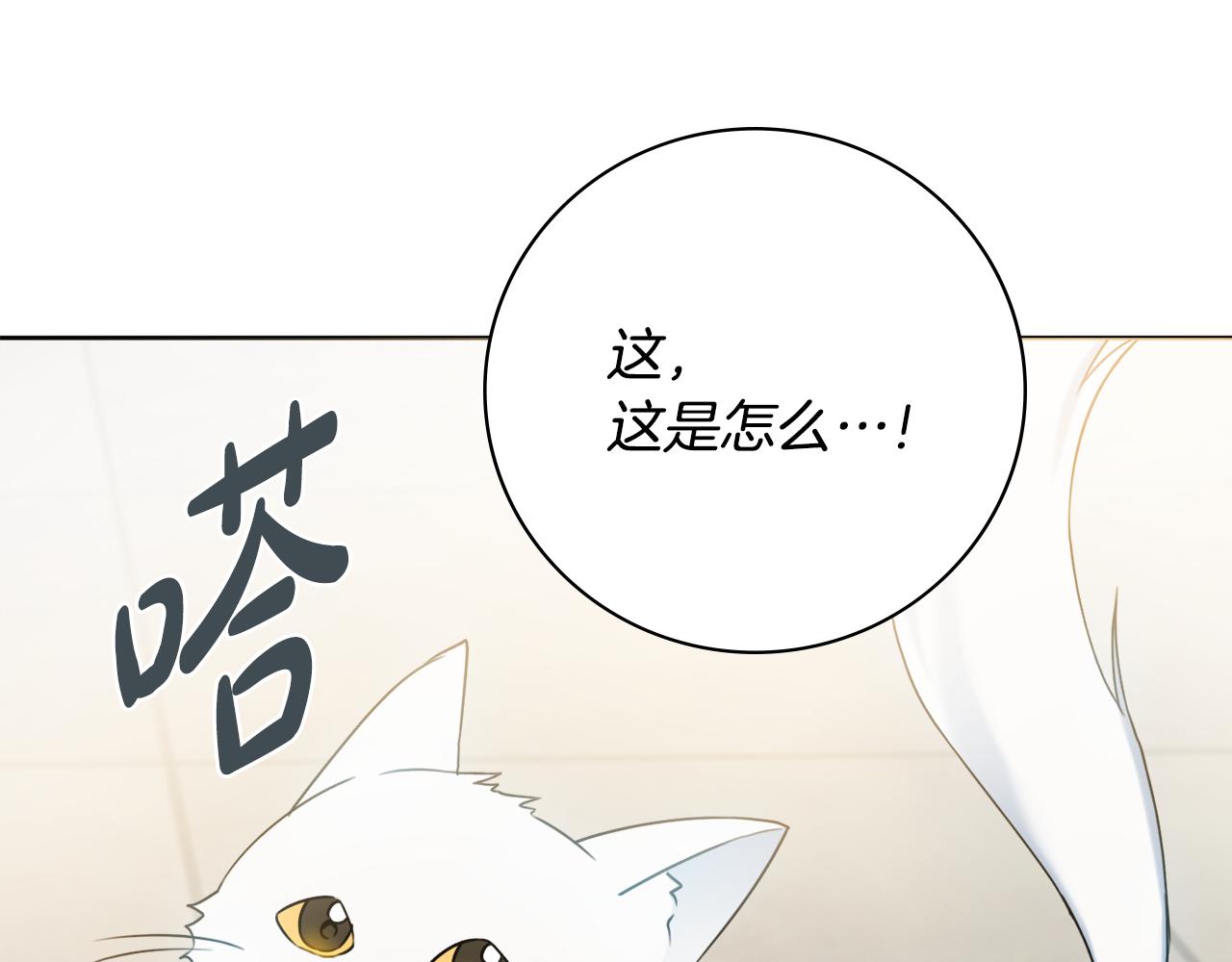 第36话一掷千金102
