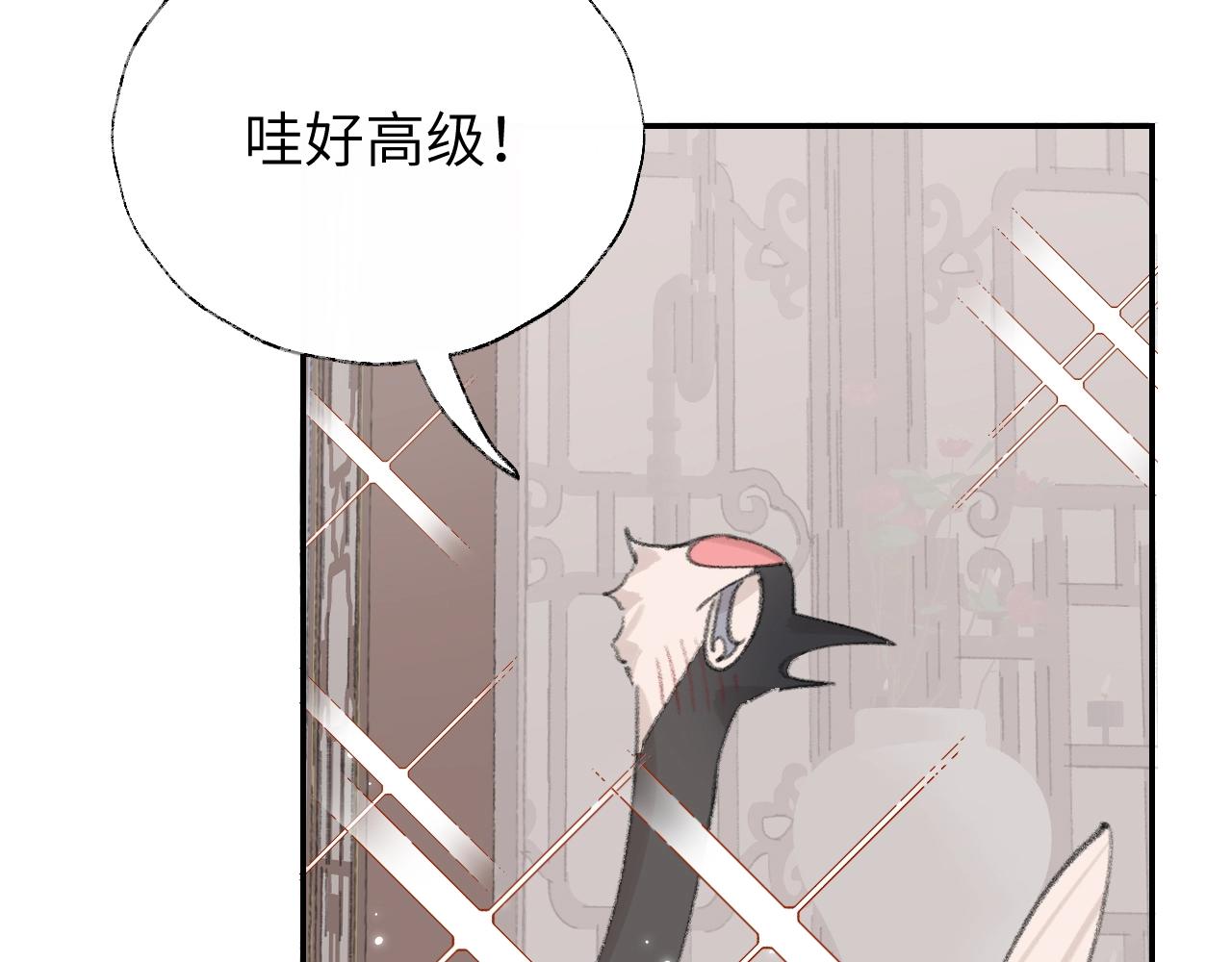 第5章 悄悄看15