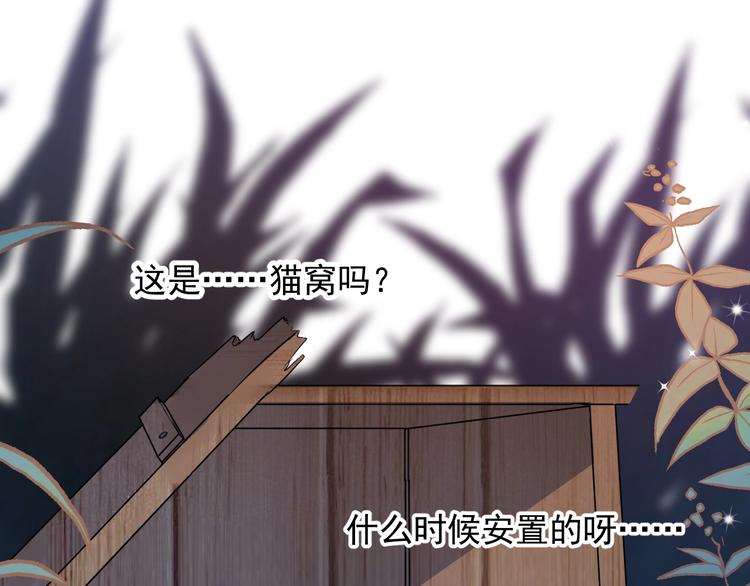 第11话 小猫咪和他75