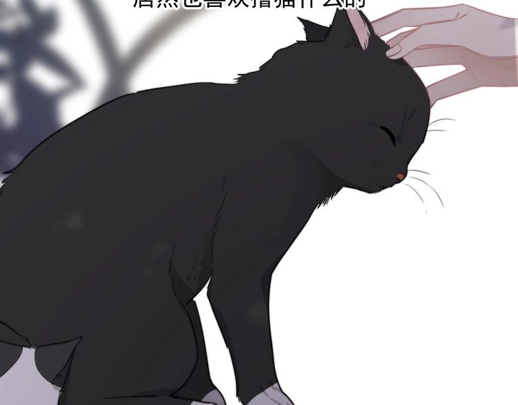 第11话 小猫咪和他97