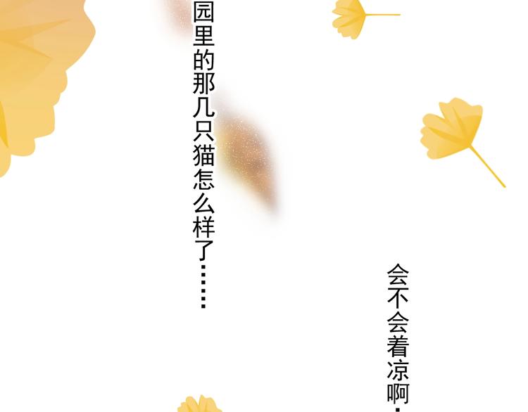 第11话 小猫咪和他14