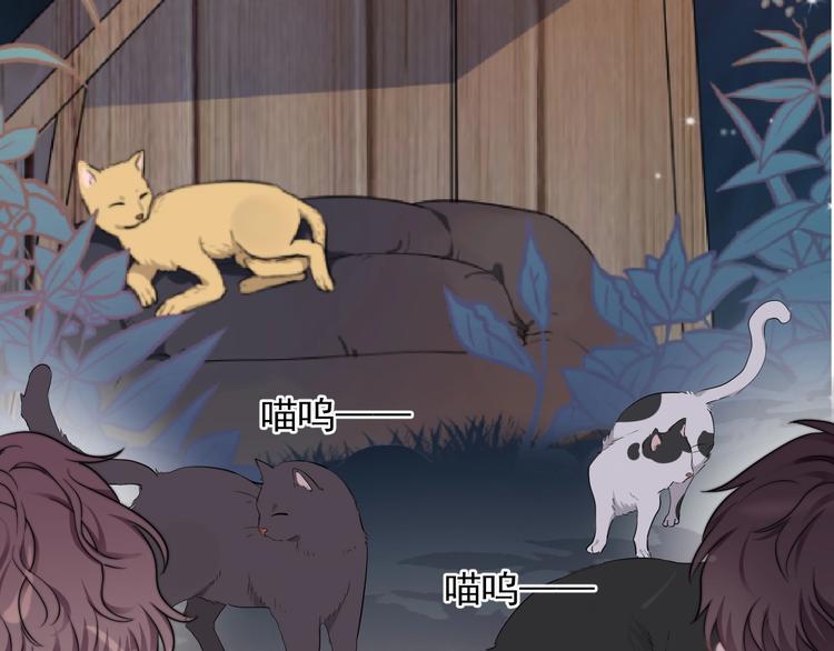 第11话 小猫咪和他95