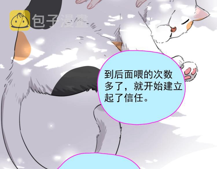 第11话 小猫咪和他87