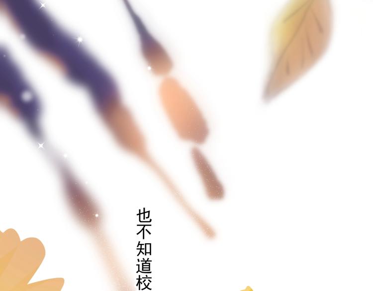 第11话 小猫咪和他13