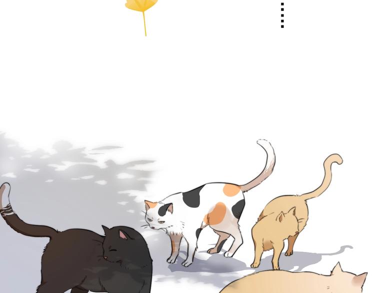 第11话 小猫咪和他15