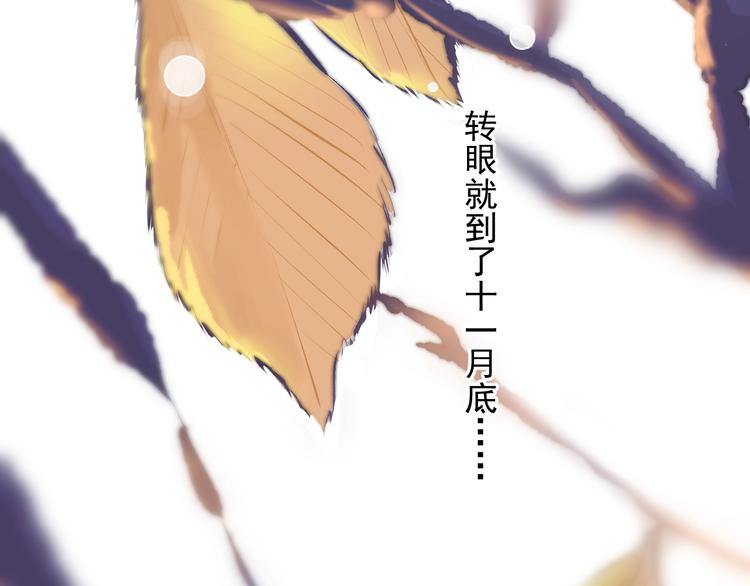 第11话 小猫咪和他12