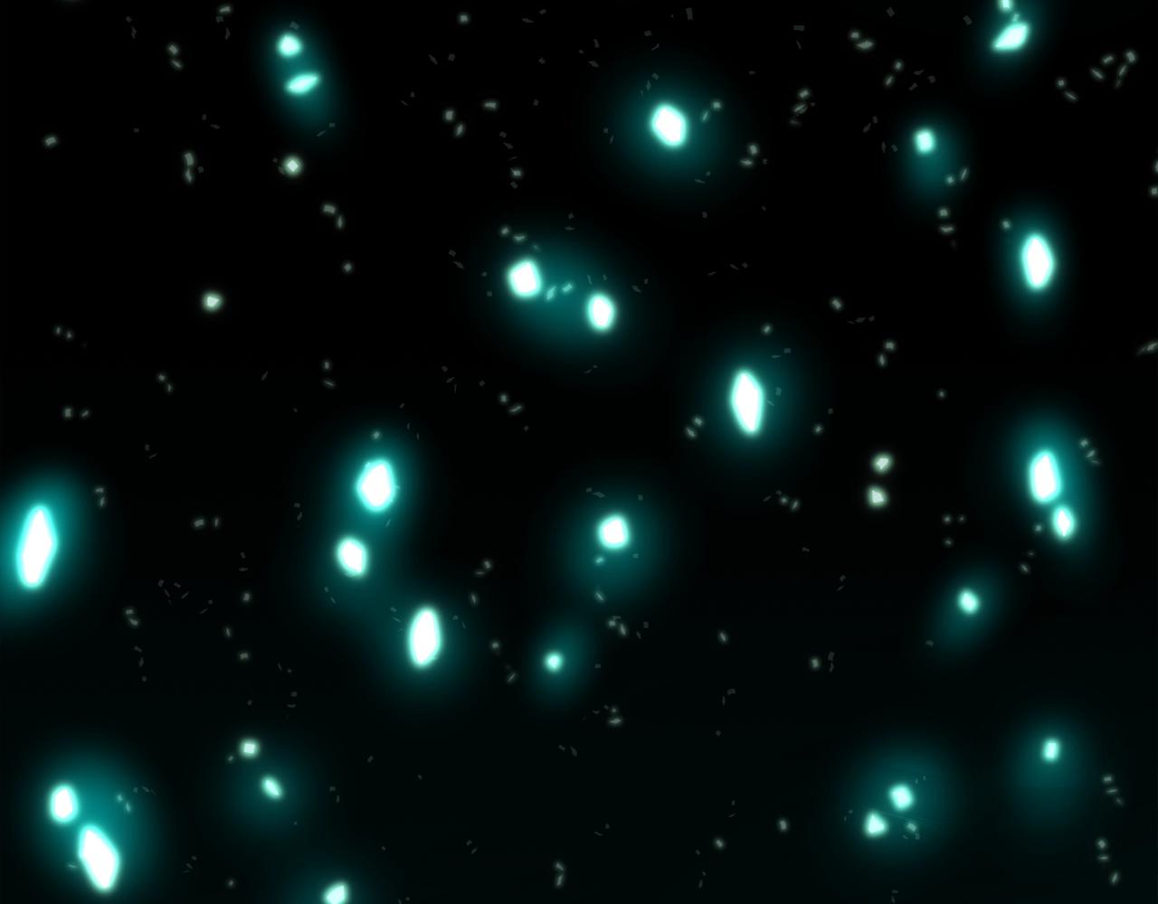第159话 家人的温暖167