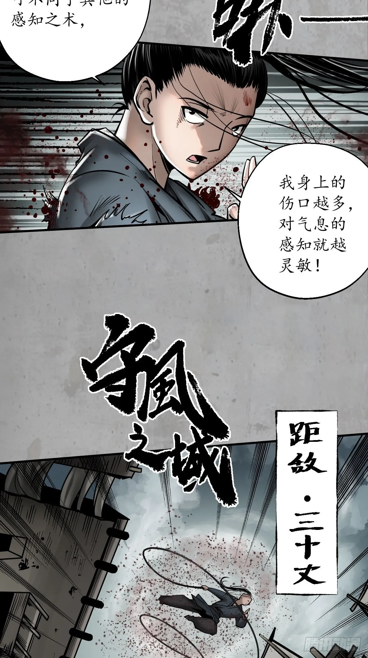 箭羽真气26