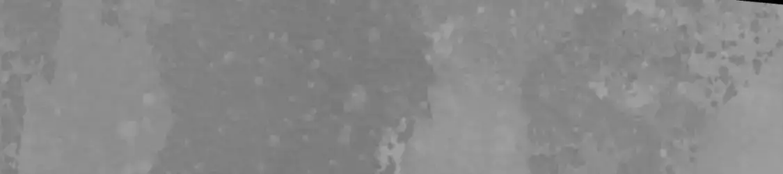 裴烈有异73