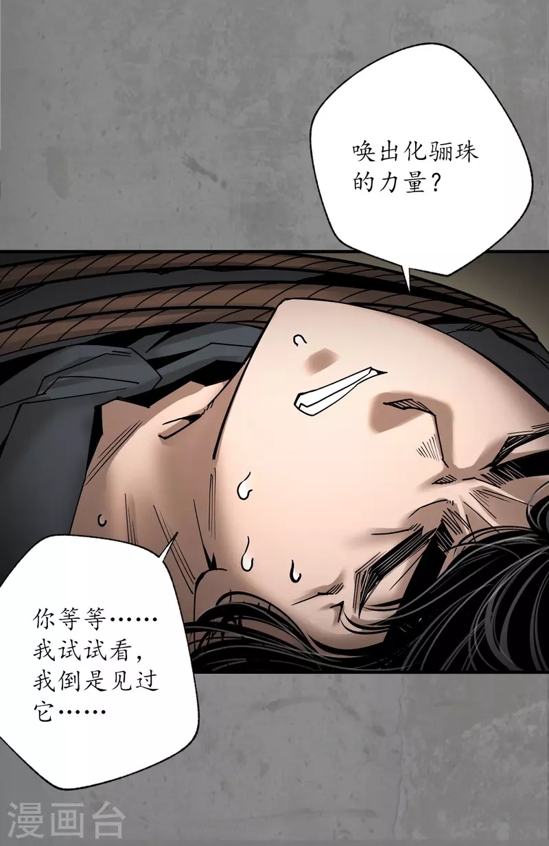 第184话 化骊之识5