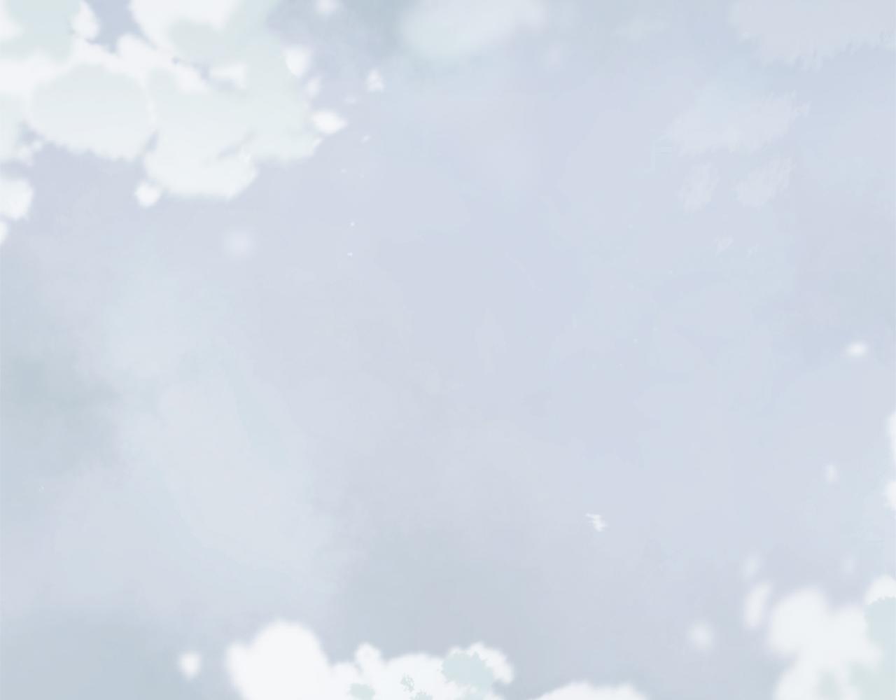 第49话 请愿降关税9